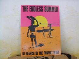 T1137 Endress Summer-Poster