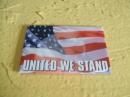 M0976     Ice Box Magnet  United We Stand